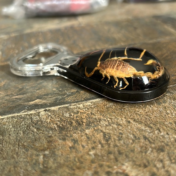 Bottle Opener Real Scorpion - Picture 4 of 4